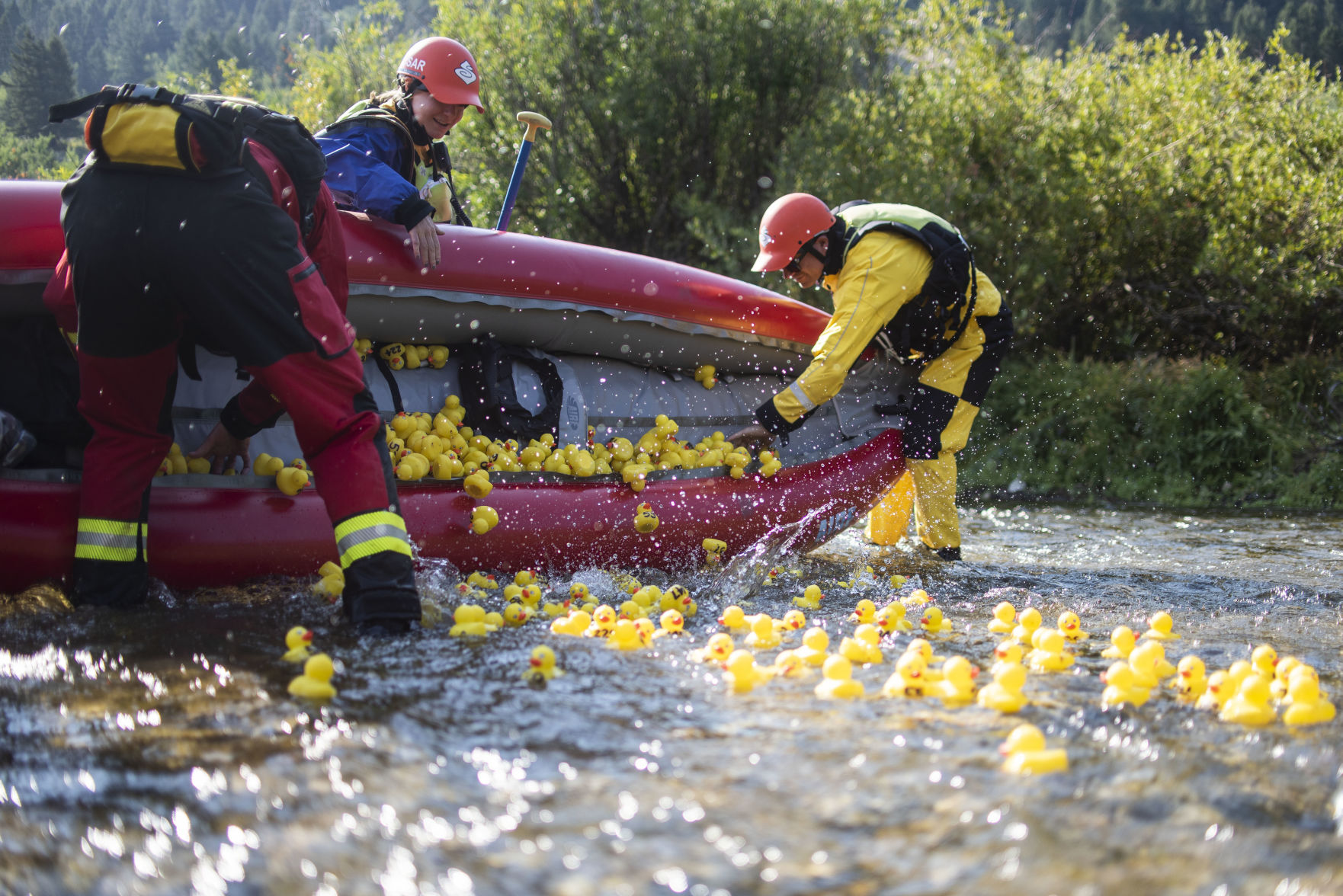 Rubber Ducky Regatta